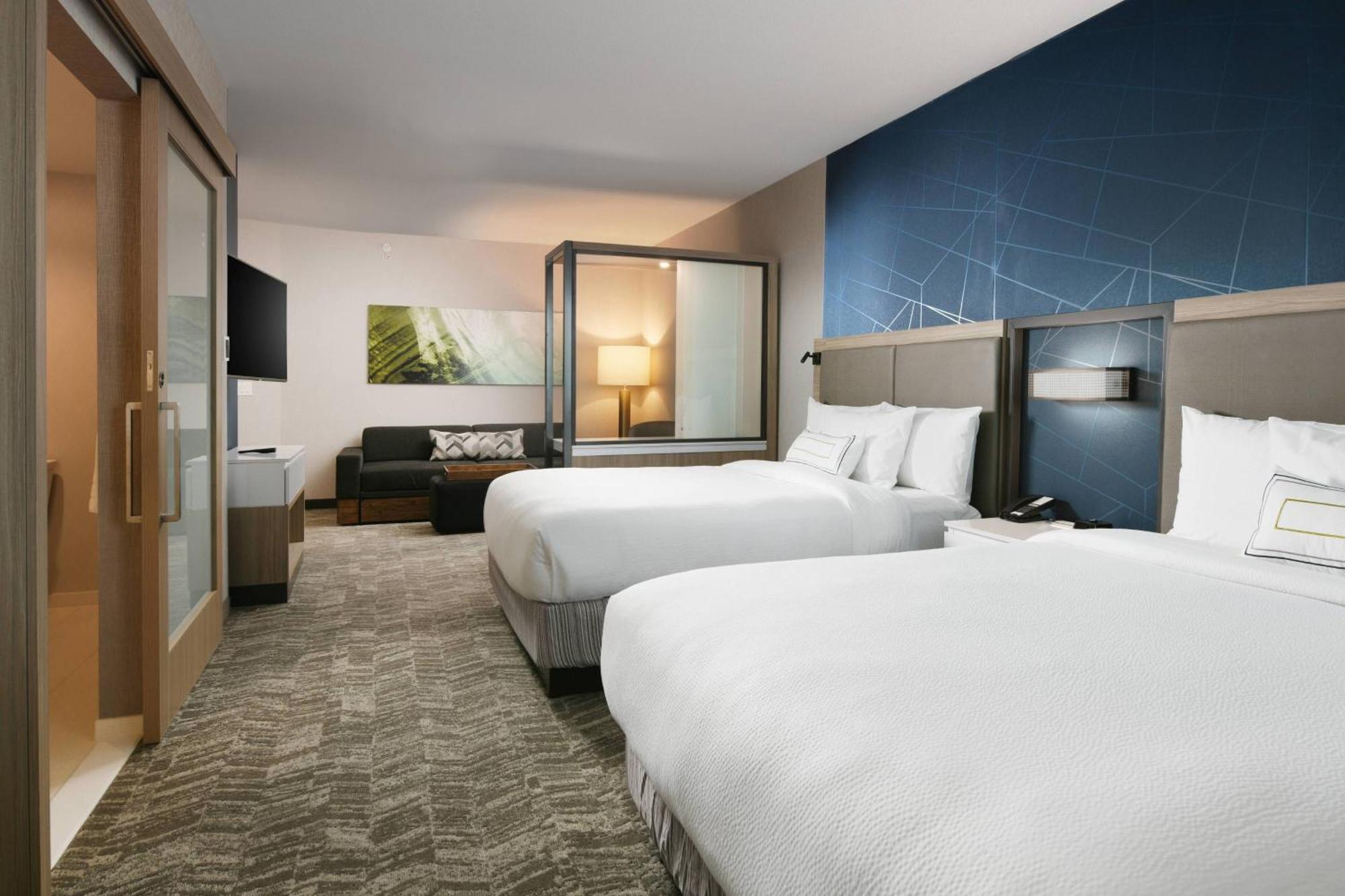 Springhill Suites Dallas Dfw Airport South/Centreport Fort Worth Exteriör bild
